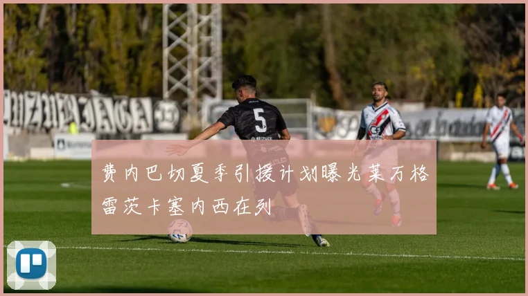 费内巴切夏季引援计划曝光莱万格雷茨卡塞内西在列