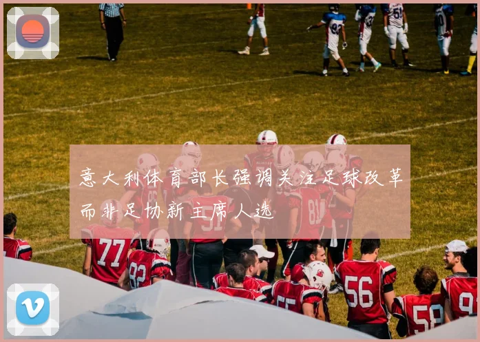 意大利体育部长强调关注足球改革而非足协新主席人选